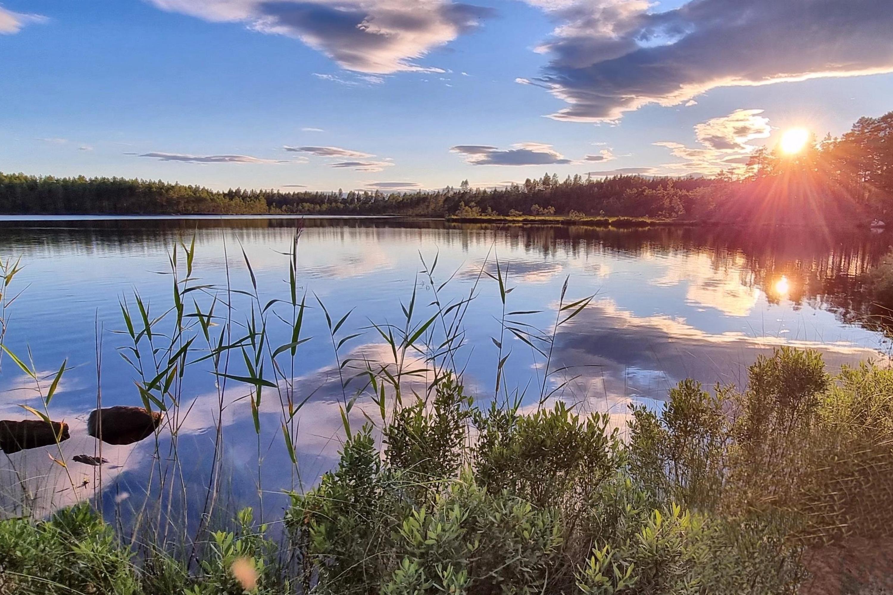 Rotna Mo Rotnarunden Grue Finnskog - Visit Øst-Norge